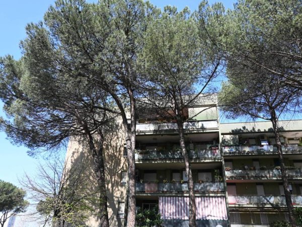 appartamento in vendita a Roma in zona Tor Bella Monaca