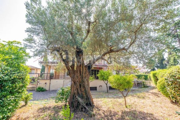 casa indipendente in vendita a Roma in zona EUR