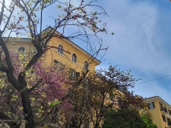 appartamento in vendita a Roma in zona Trieste