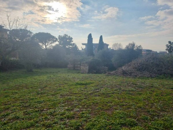 terreno agricolo in vendita a Roma in zona Tor Vergata/Torrenova