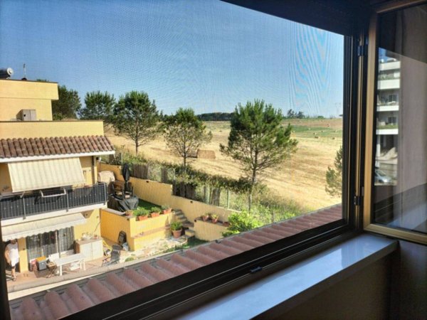 appartamento in vendita a Roma in zona Massimina/Casal Lumbroso