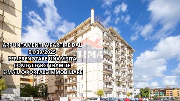 appartamento in vendita a Roma in zona Monte Sacro/Talenti