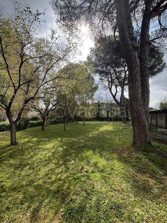 appartamento in vendita a Roma in zona Trionfale
