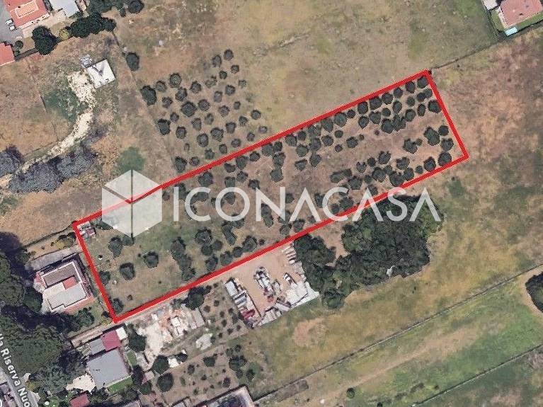 terreno agricolo in vendita a Roma in zona Ponte di Nona