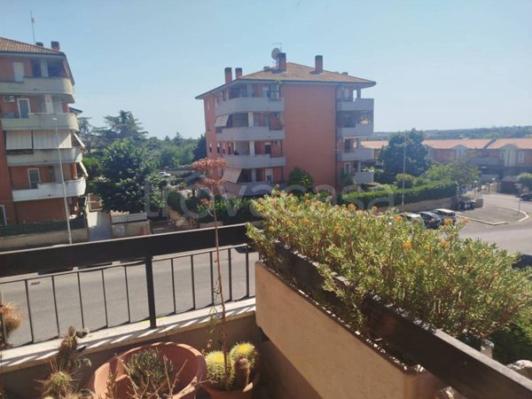 appartamento in vendita a Roma in zona Casalotti