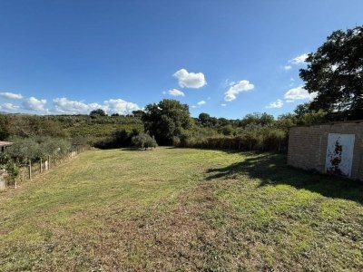 terreno agricolo in vendita a Roma in zona Finocchio