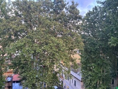 appartamento in vendita a Roma in zona Prenestino-Labicano