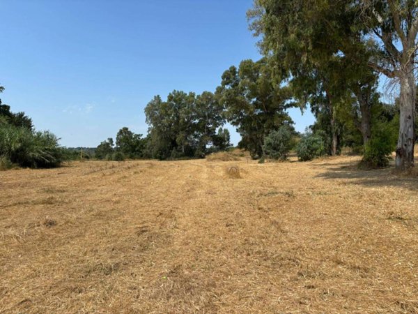 terreno agricolo in vendita a Roma in zona Casalotti
