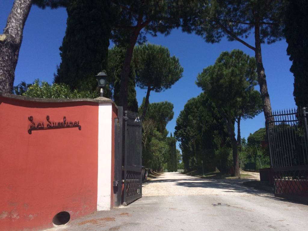 appartamento in vendita a Roma in zona Trionfale