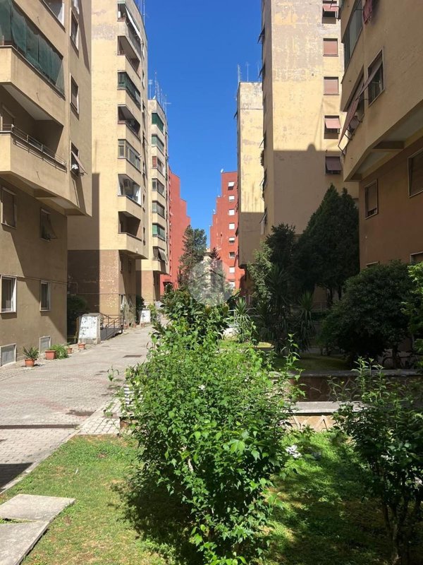 appartamento in vendita a Roma in zona Don Bosco