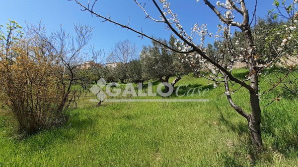 terreno agricolo in vendita a Roma in zona Torre Angela