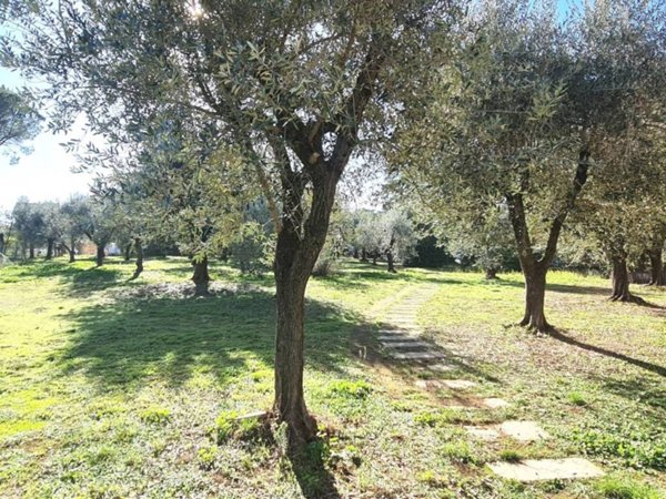 appartamento in vendita a Roma in zona Casal Morena