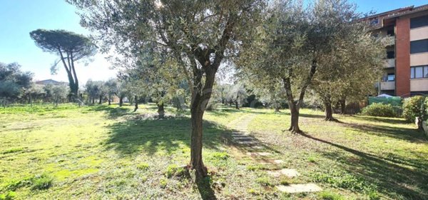 appartamento in vendita a Roma in zona Casal Morena