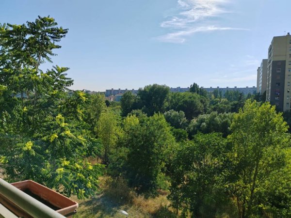 appartamento in vendita a Roma in zona Monte Sacro/Talenti