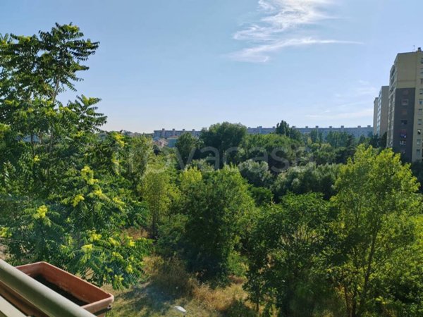 appartamento in vendita a Roma in zona Monte Sacro/Talenti