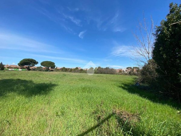 terreno agricolo in vendita a Roma in zona Dragona/Bagnoletto