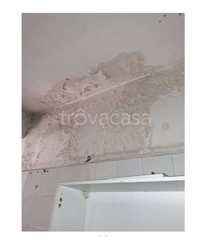 appartamento in vendita a Roma in zona Flaminio