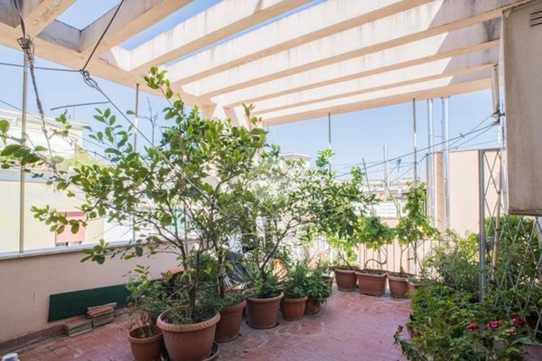 appartamento in vendita a Roma in zona Gianicolense