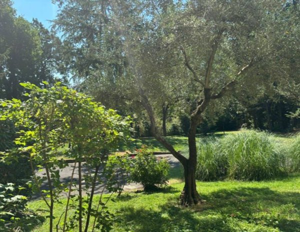appartamento in vendita a Roma in zona Olgiata