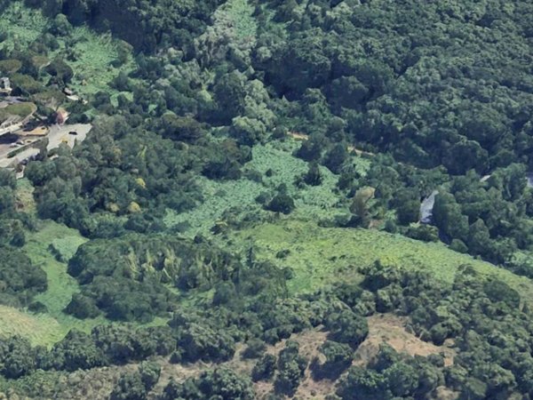 terreno agricolo in vendita a Roma