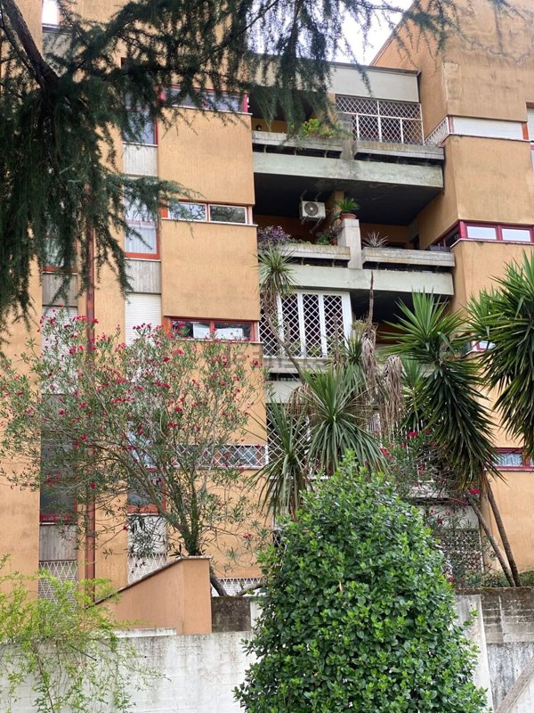 appartamento in vendita a Roma in zona Monte Sacro/Talenti