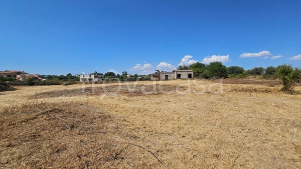 terreno agricolo in vendita a Roma in zona Cesano