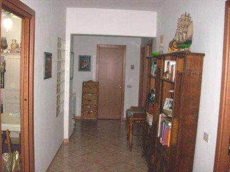 immagine annuncio 0 di 4