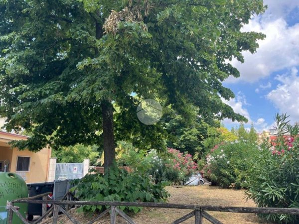 appartamento in vendita a Roma in zona Trionfale