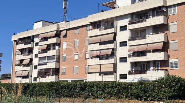 appartamento in vendita a Roma in zona Acilia