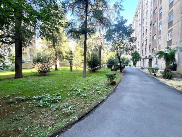 appartamento in vendita a Roma in zona Monte Sacro/Talenti
