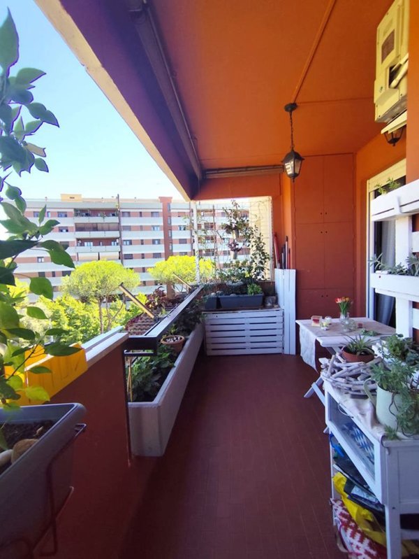 appartamento in vendita a Roma in zona Casal Boccone