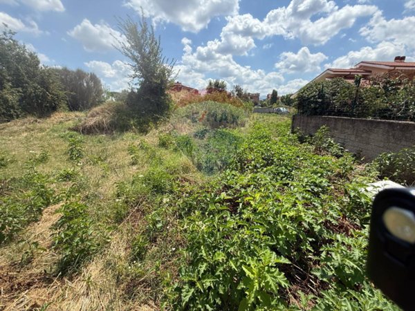 terreno agricolo in vendita a Roma in zona Torre Gaia