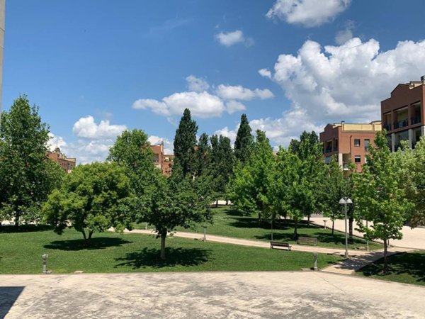 appartamento in vendita a Roma in zona Mezzocammino