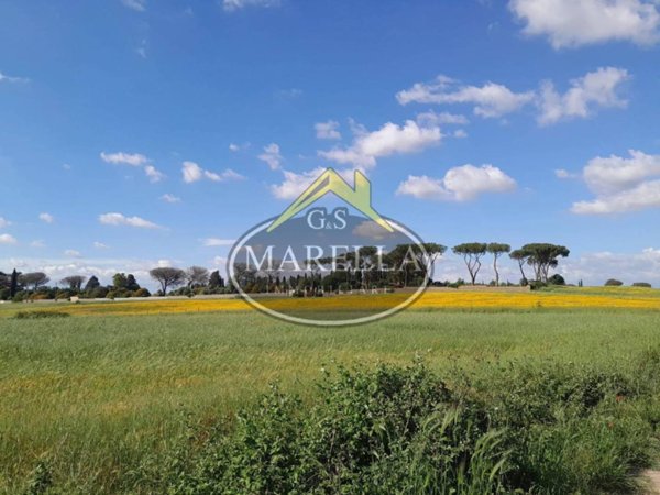 terreno agricolo in vendita a Roma in zona Trigoria