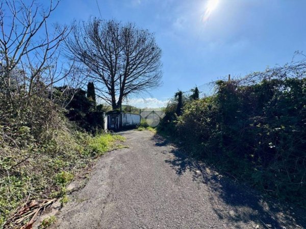 terreno agricolo in vendita a Roma in zona Monte Migliore
