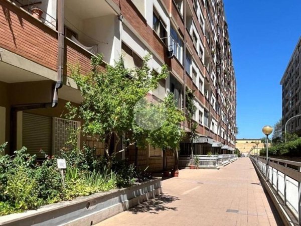 appartamento in vendita a Roma in zona Collatino