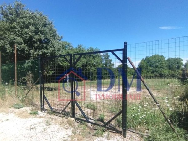 terreno agricolo in vendita a Roma in zona Olgiata