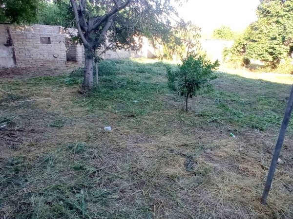 terreno agricolo in vendita a Roma in zona Primavalle