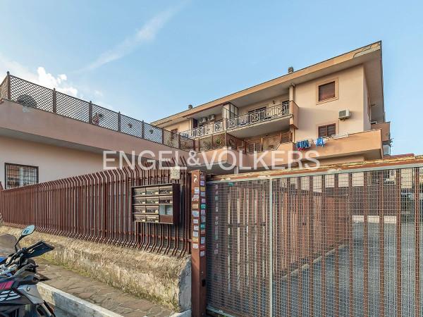 negozio in vendita a Roma in zona Tor Vergata/Torrenova