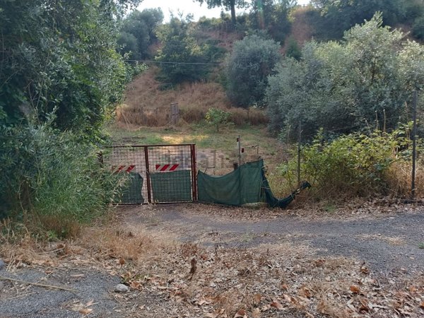 terreno agricolo in vendita a Roma in zona Selva Candida
