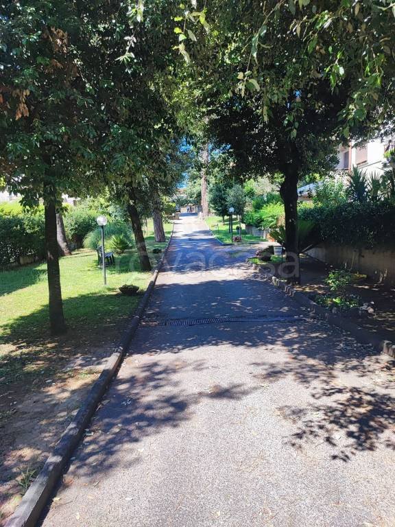 appartamento in vendita a Roma in zona Labaro