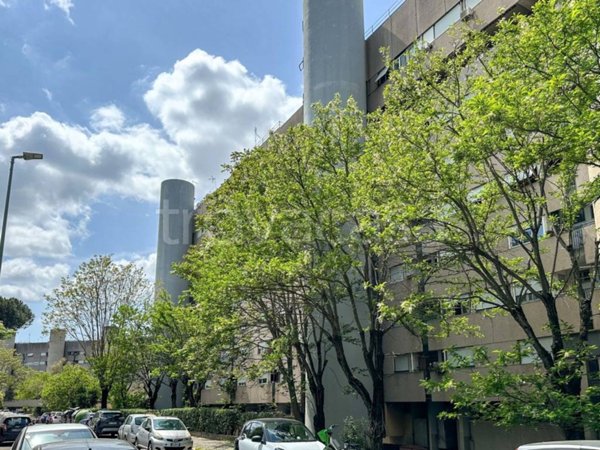 appartamento in vendita a Roma in zona Monte Sacro/Talenti