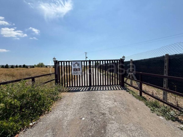 terreno agricolo in vendita a Roma
