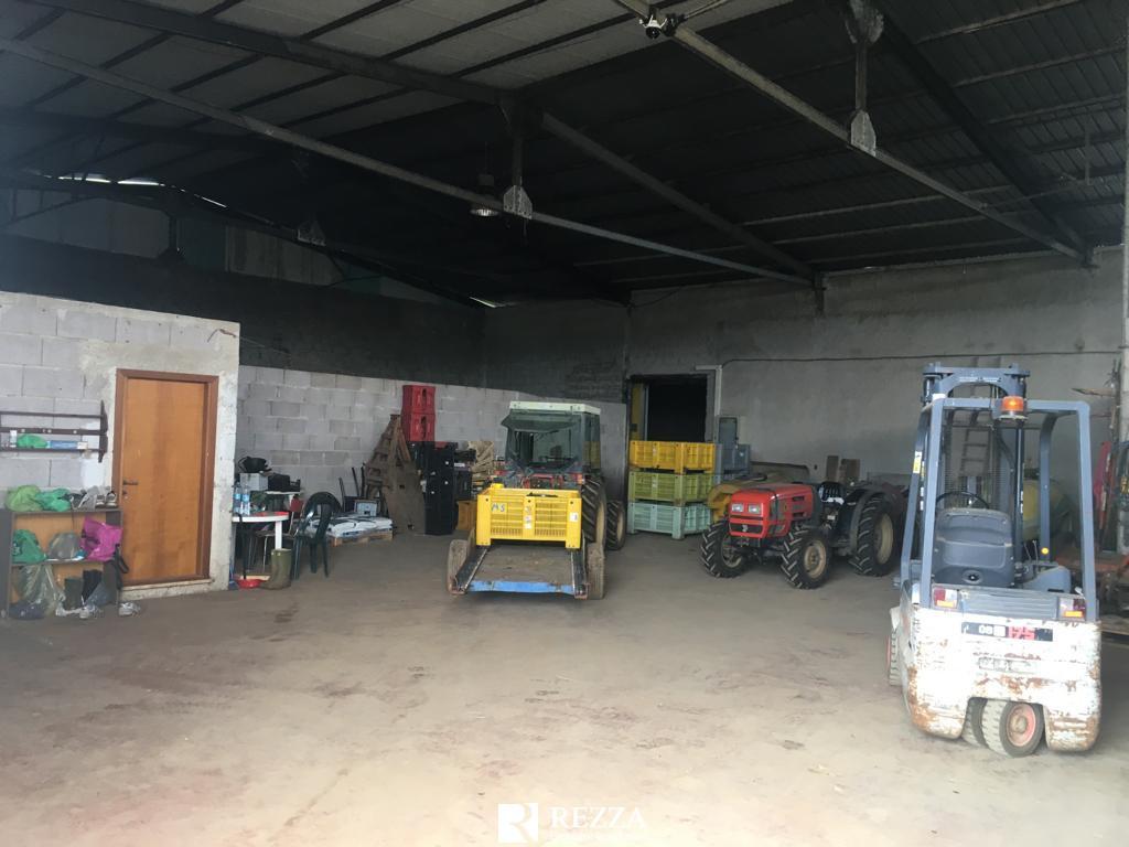 terreno agricolo in vendita a Roma in zona Prenestino-Centocelle
