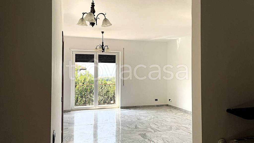 immagine annuncio 0 di 15