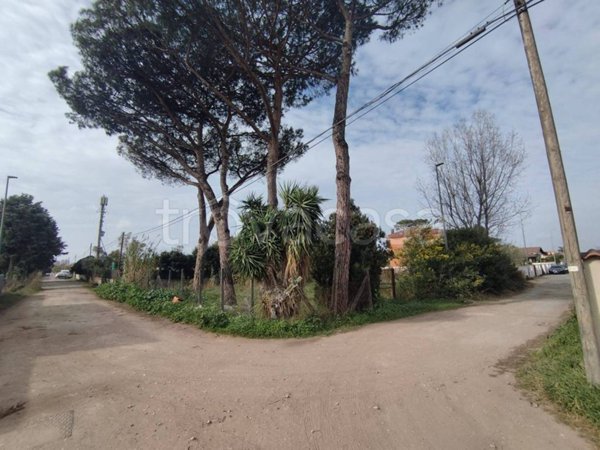 terreno agricolo in vendita a Roma in zona Casal Palocco