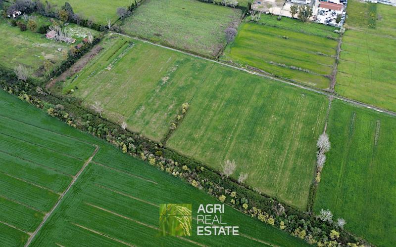 terreno agricolo in vendita a Roma in zona Campo Marzio