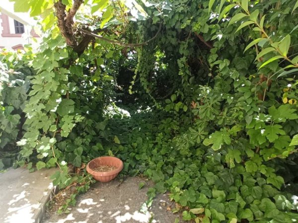 appartamento in vendita a Roma in zona Trionfale