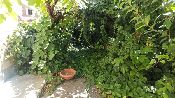 appartamento in vendita a Roma in zona Trionfale