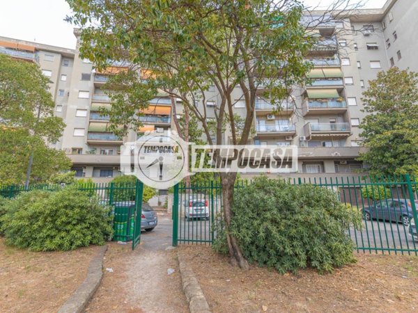 appartamento in vendita a Roma in zona Pietralata